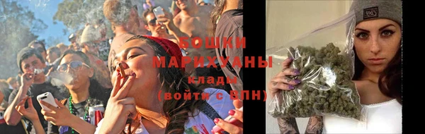 индика Пересвет