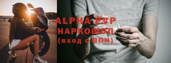 индика Пересвет