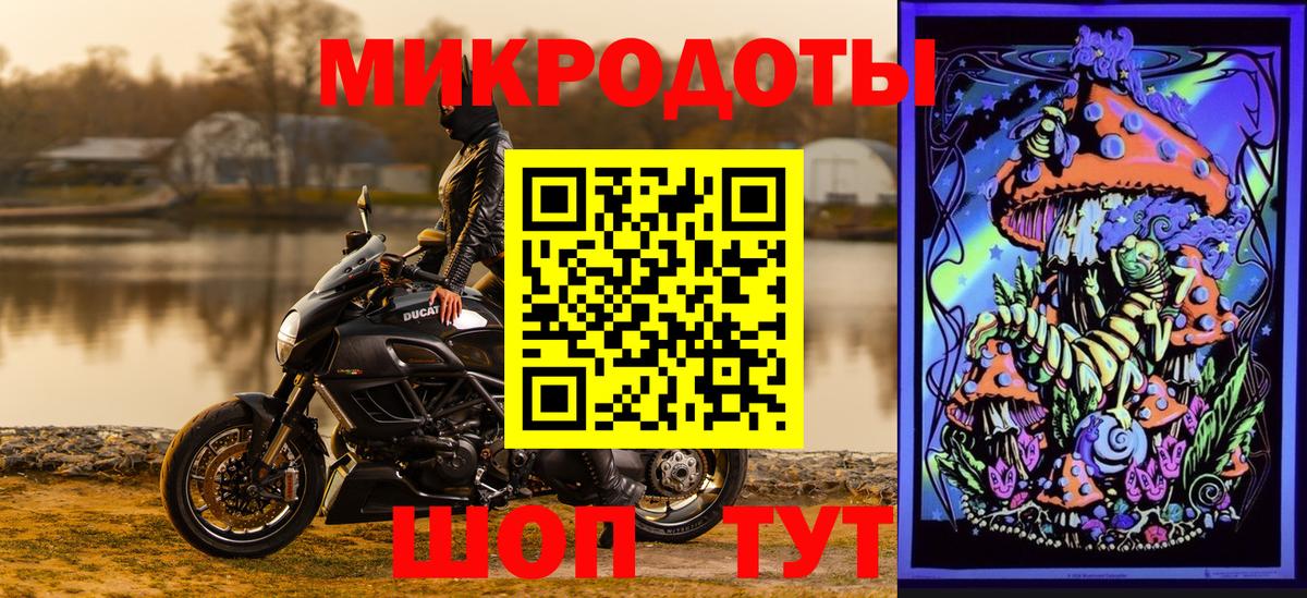 Галлюциногенные грибы прущие грибы Черкесск